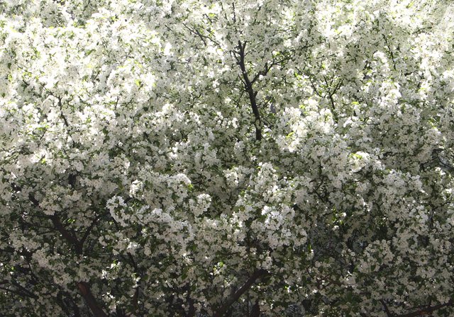 photo 0029.jpg